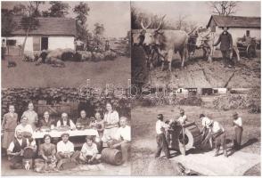 Békés megyei néprajzi képeslapsorozat - 10 db modern képeslap