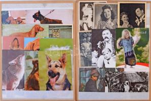 18 db MODERN motívum képeslap kartonlapon: színész és kutya / 18 modern motive postcards on cardboards: dogs and actors