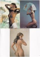 5 db MODERN erotikus motívum képeslap, meztelen nők / 5 modern erotic motive postcards: nude women