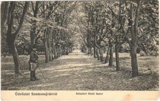 1912 Szamosújvár, Gherla; Sétatéri főúti fasor. Todorán Endre kiadása / promenade, park (EB)