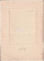 cca 1920 Fiatal hölgy műtermi fotója Mindszenty pozsonyi műterméből, kartonra ragasztott fotó, 15×10...