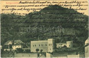 1908 Szilágysomlyó, Simleu Silvaniei; Magura, Simai kastély, nyaraló. W.L. (?) 2227. 1/2. Heimlich K. kiadása / castle, villa (fa)