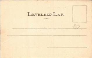 Marosvásárhely, Targu Mures; Transilvania szálloda és kávéház, Izmael Ferenc üzlete. Holbach Ede kia...