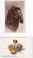 6 db RÉGI kutya motívum képeslap / 6 pre-1945 dog motive postcards