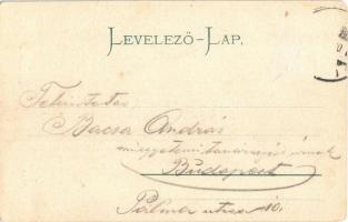 Arad, Vértanú szobor. Ifj. Klein Mór kiadása / monument, statue (Rb)