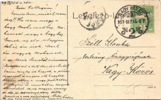 1907 Nagyvárad, Oradea; Szent László tér, Szent László templom, Városháza, piac. W.L. 964. / square,...