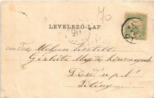 1902 Gödöllő, Az Erzsébet királyné (Sisi) szobor leleplezési ünnepe. Darányi miniszter beszédet inté...