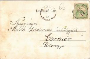 1907 Selyp (Lőrinci), Park részletek a selypi cukorgyárból (EK)