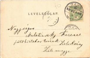 1902 Paks, látkép. Rosenbaum Ignác kiadása (EK)