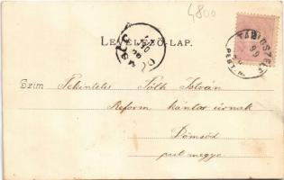 1899 Tápiószele, Tápió-Szele; Piactér, üzlet, Községháza, Római katolikus templom, Református templo...