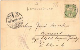 1905 Sármellék, Fő utca. Mérei Ignác kiadása (fa)