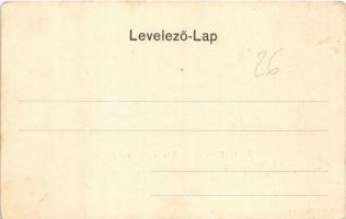 1900 Diósgyőr (Miskolc), M. kir. vas- és acélgyár madártávlatból. Lövy József fia kiadása (EK)