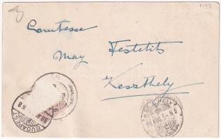 1898 Balatonföldvár, Nessi villa, Melinda villa, Park részlet. Art Nouveau, floral, litho (non PC) (...