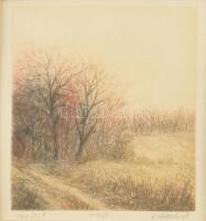 H. Herbst jelzéssel: Ősz (Herbst). Színes rézkarc, papír. Üvegezett fa keretben. 9,5x8 cm