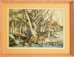 Zugor Sándor (1923-2002): Öreg erdő (szarvas). Színezett rézkarc, papír, jelzett, üvegezett fa keretben, 29×39 cm