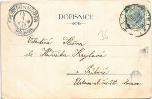 1902 Litovel, Littau; Radnice, Námestí a vyracním trhu / town hall, general view, square with market...