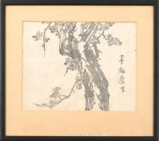 Japán sakura, cseresznyefa virágzás. Fametszet, papír. Jelzés nélkül. 22x28cm. Edo-korszak (1615-1868) XVIII. század második fele. Üvegezett fa keretben.