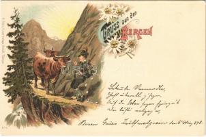 1898 (Vorläufer) Gruss aus den Bergen / Highlander folklore, alpinist man with cows. H. Metz Kunst-Verlags Anstalt No. 6. Art Nouveau, floral, litho