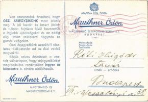 1936 Mauthner Ödön magtermelő- és magkereskedelmi rt. reklám. Mauthner-féle tulipánok / Hungarian se...