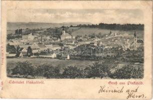 1901 Pinkafő, Pinkafeld; látkép. Verlag v. A.P.A. Nr. 338. / general view (fl)