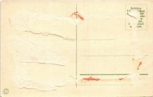 Boldog újévet, repülőgép / New Year greeting with aircraft (Rb)