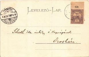 1901 Szklenófürdő, Sklené Teplice; Úri fürdő, látkép, park / spa, bath, general view, park. Stengel ...