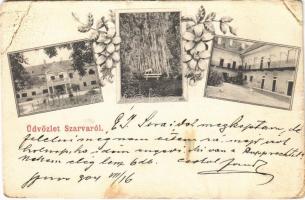 1904 Nagyszarva, Szarva, Velká Sarva, Rohovce; Illésházy kastély és udvara, park / castle, park, courtyard. Art Nouveau, floral (EB)