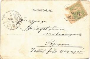 1904 Nagyszarva, Szarva, Velká Sarva, Rohovce; Illésházy kastély és udvara, park / castle, park, cou...