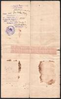 1919 Bp., a Lengyel Köztársaság Magyarországi Képviselete által kiállított kétnyelvű oltalomlevél a ...