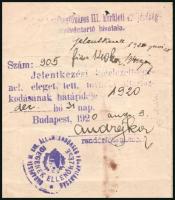 1919 Bp., a Lengyel Köztársaság Magyarországi Képviselete által kiállított kétnyelvű oltalomlevél a ...