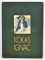 Kokas Ignác. Szerk.: Bereczky Lóránd, Horváth György. Bp., (1997), Magyar Festészetért Alapítvány,(Art Box-ny.), 87 p. Kiadói kartonált papírkötés, kiadói szakadt papír védőborítóban, kissé kopott kartonált borítóval.   A festőművész, Kokas Ignác (1926-2009) által DEDIKÁLT példány. Valamint azonosítatlan ajándékozási sorokkal.