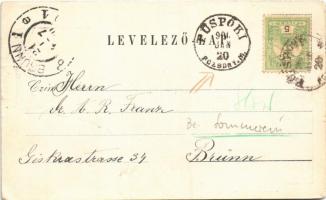 1900 Pozsonypüspöki, Püspöki, Bischdorf, Biskupice pri Dunaji, Podunajské Biskupice; Grófi kastély k...