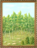 Megyeri József (?-): Nyírfa liget. Olaj, vászon, kartonra kasírozva. Jelzett. Dekoratív, sarkaiban kissé sérült fa keretben, 39×30 cm