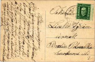 Vihnye, Vihnyefürdő, Kúpele Vyhne; Hellenbacher villa / villa (fa)