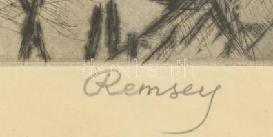 Remsey Jenő (1885-1970): Kertek alján. Rézkarc, papír, jelzett, üvegezett fa keretben, 18x30 cm
