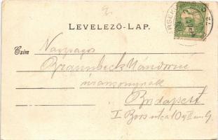 1911 Nyitra, Nitra; látkép / general view (EK)