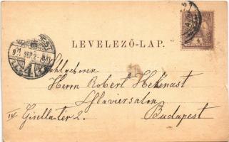 1901 Lőcse, Levoca; Piac, üzletek. Latzin János kiadása / market, shops (vágott / cut)