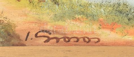 Olvashatatlan jelzéssel: Őszi táj. Olaj, vászon. Dekoratív, kissé sérült keretben. 30x50 cm