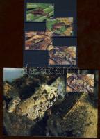 2003 WWF Békák sor+CM Mi 867-871