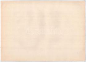 Budapest 1927. "Hazai Általános Biztosító Részvénytársaság" 20P-ről, szárazpecséttel T:I-