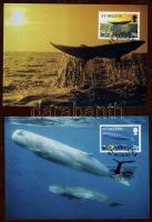 2002 WWF Bálnák CM Mi 852-855