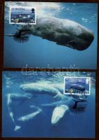 2002 WWF Bálnák CM Mi 852-855