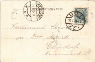 1904 Linz, Franz Josef-Warte, Total-Ansicht, Stifter-Denkmal / lookout tower, general view, monument...