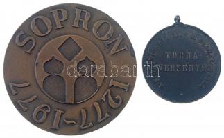 Renner Kálmán (1927-1994) 1977. "Sopron 1277-1977" kétoldalas bronz emlékérem (60mm) + 189...