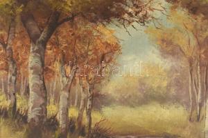 KJ jelzéssel: Erdei patak. Olaj, vászon, vakkeret nélkül, 39×49,5 cm