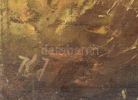 KJ jelzéssel: Erdei patak. Olaj, vászon, vakkeret nélkül, 39×49,5 cm