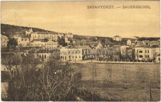 1913 Savanyúkút, Bad Sauerbrunn; Hotel Bellevue szálloda, nyaralók. Hönigsberg Frigyes kiadása / hotel, villas (EK)