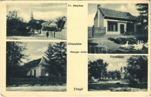 Tényő, Evangélikus templom, Községháza, utca részlet, Hangya szövetkezet üzlete és saját kiadása (fa)