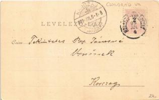 1899 Hódmezővásárhely, Nemzeti szálloda, Polgári fiúiskola, Grossmann Benedek könyvkereskedése, kölc...