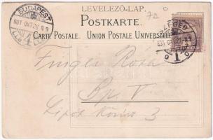 1901 Hódmezővásárhely, Nyizsnyai Gusztáv zeneköltő szobra. Grossmann Benedek utóda kiadása. Szecessz...